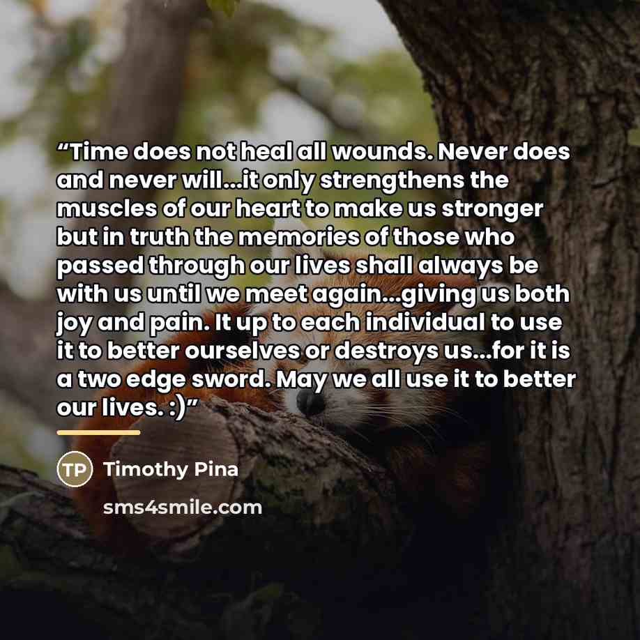 “Time does not heal all wounds. Never does and never will...it only strengthens the muscles of our heart to make us stronger but in truth the memories of those who passed through our lives shall always be with us until we meet again...giving us both joy and pain. It up to each individual to use it…” quote by Timothy Pina