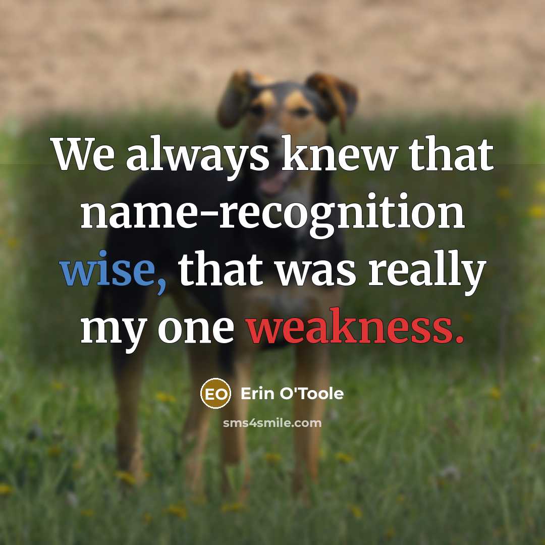 “We always knew that name-recognition wise, that was really my one weakness.” quote by Erin O'Toole