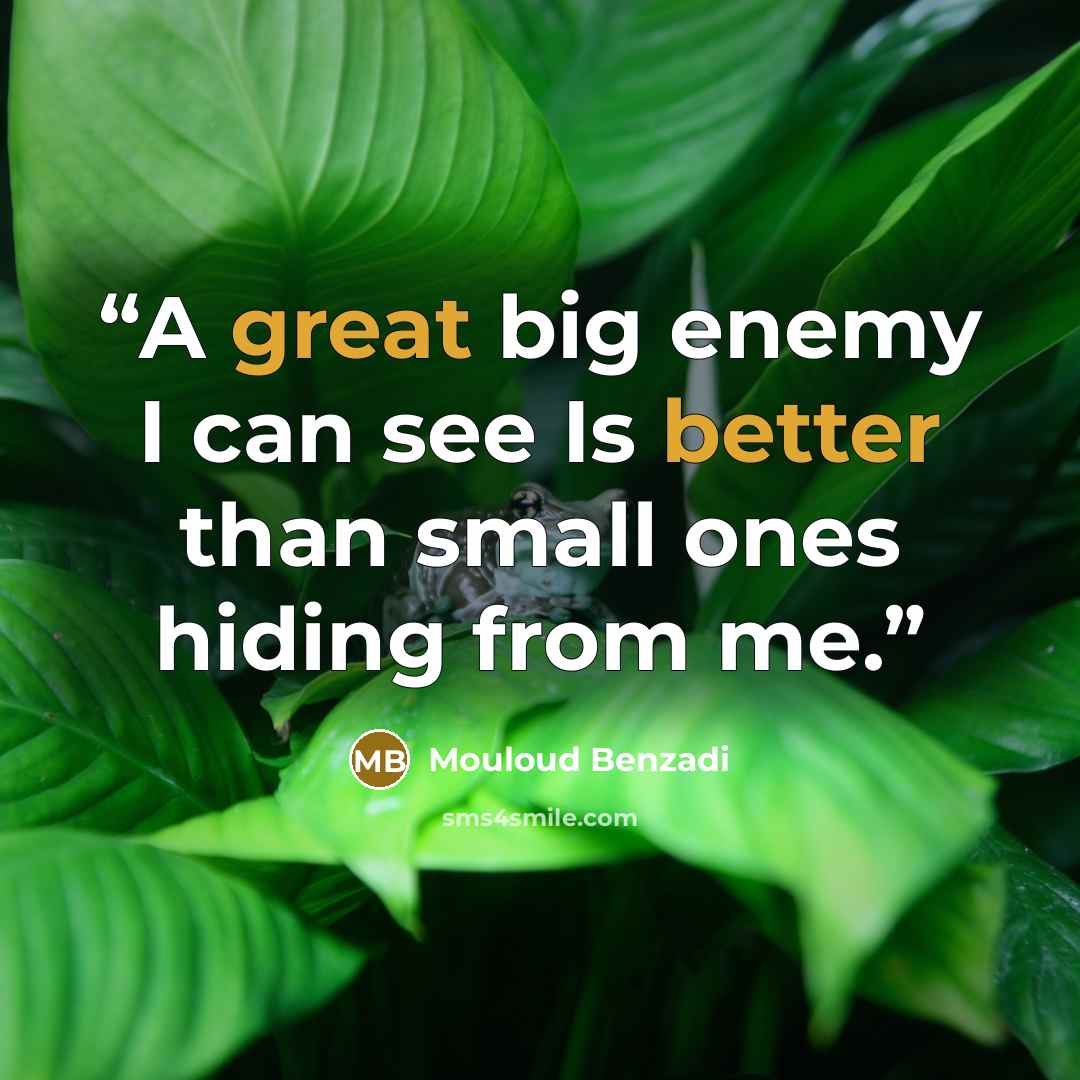“A great big enemy I can see Is better than small ones hiding from me.” quote by Mouloud Benzadi