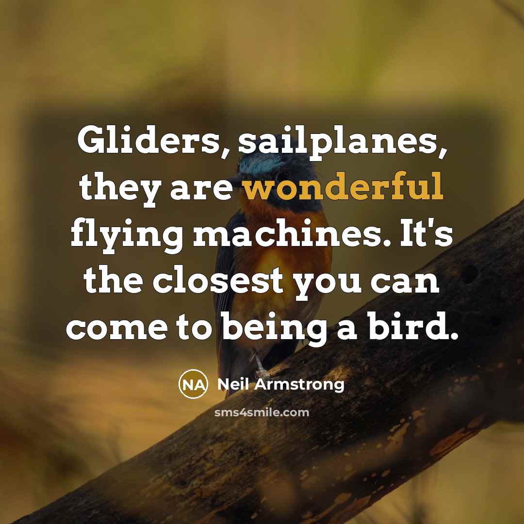 “Gliders, sailplanes, they are wonderful flying machines. It's the closest you can come to being a bird.” quote by Neil Armstrong