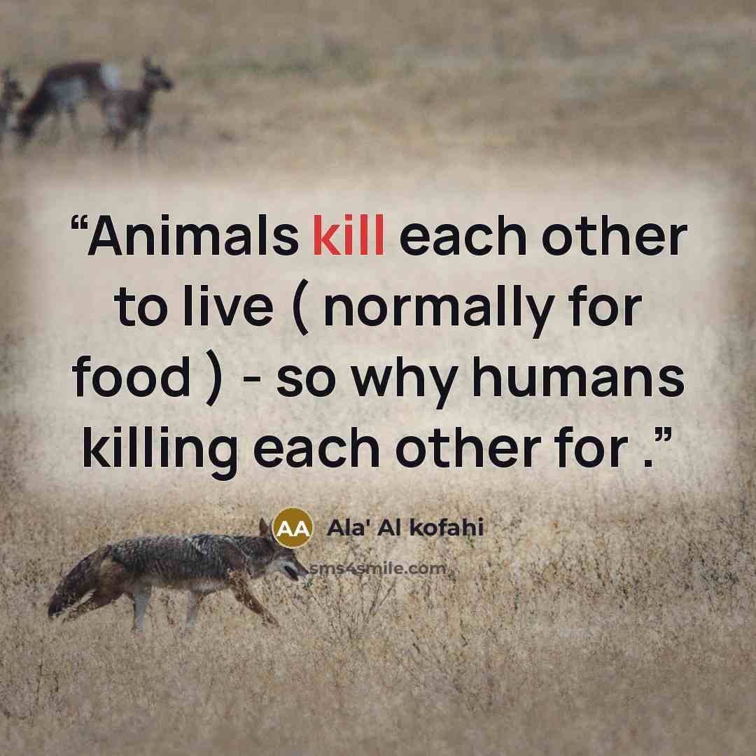 “Animals kill each other to live ( normally for food ) - so why humans killing each other for .” quote by Ala' Al kofahi