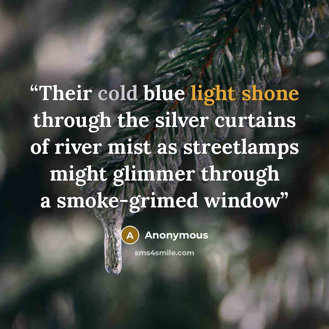 “Their cold blue light shone through the silver curtains of river mist as streetlamps might glimmer through a smoke-grimed window” quote by Anonymous