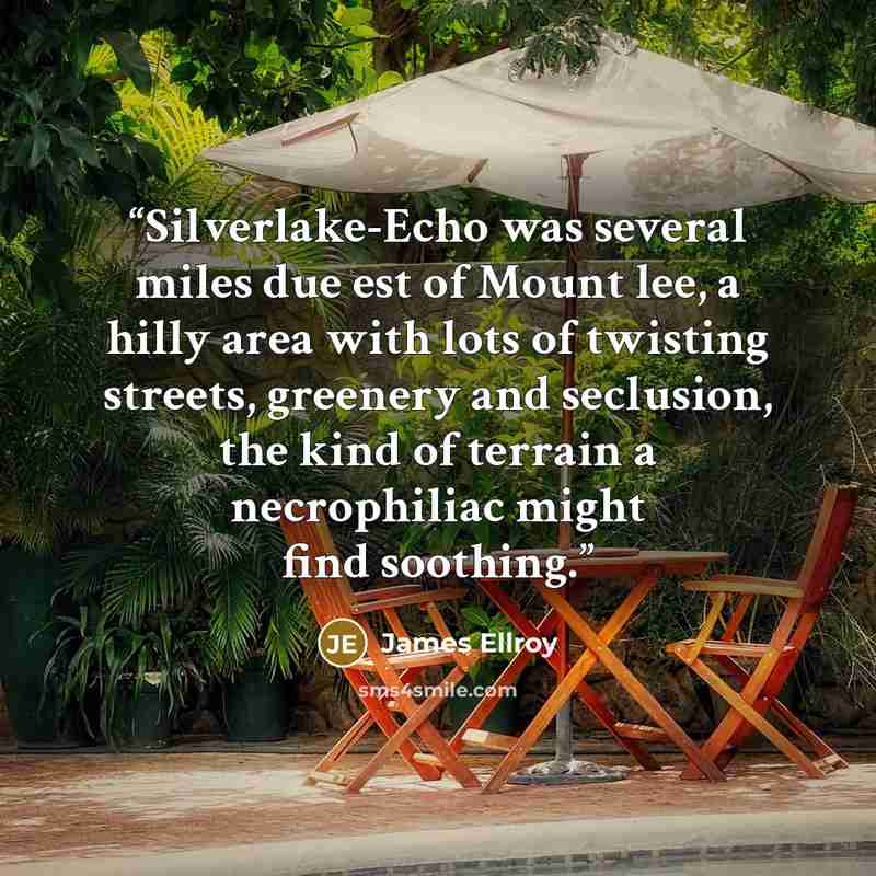 “Silverlake-Echo was several miles due est of Mount lee, a hilly area with lots of twisting streets, greenery and seclusion, the kind of terrain a necrophiliac might find soothing.” quote by James Ellroy
