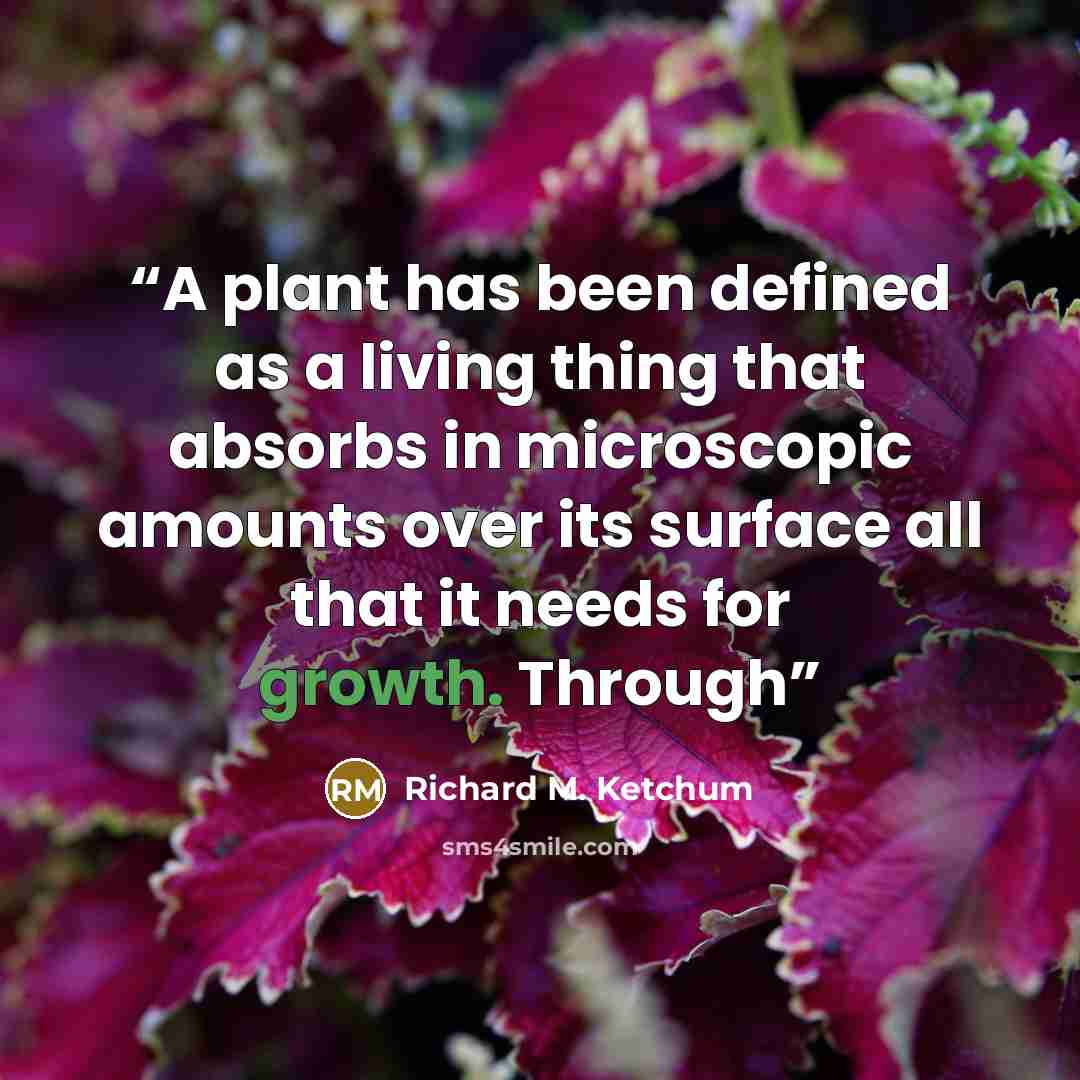 “A plant has been defined as a living thing that absorbs in microscopic amounts over its surface all that it needs for growth. Through” quote by Richard M. Ketchum