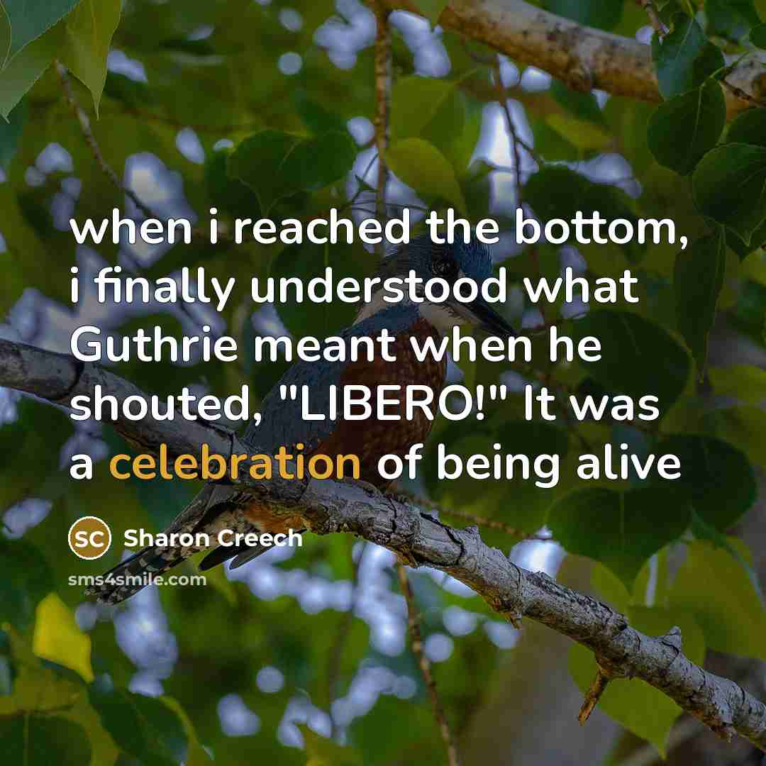 “when i reached the bottom, i finally understood what Guthrie meant when he shouted, "LIBERO!" It was a celebration of being alive” quote by Sharon Creech