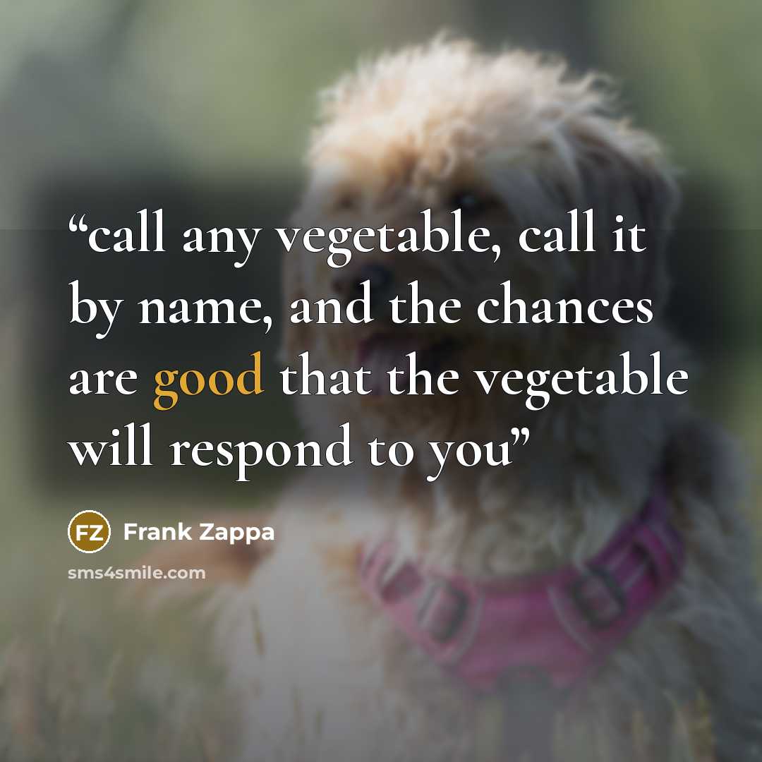 “call any vegetable, call it by name, and the chances are good that the vegetable will respond to you” quote by Frank Zappa