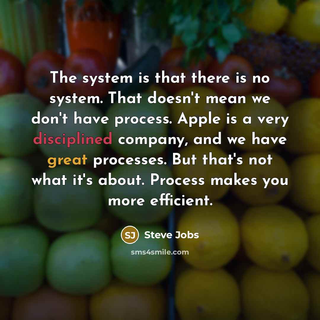 “The system is that there is no system. That doesn't mean we don't have process. Apple is a very disciplined company, and we have great processes. But that's not what it's about. Process makes you more efficient.” quote by Steve Jobs
