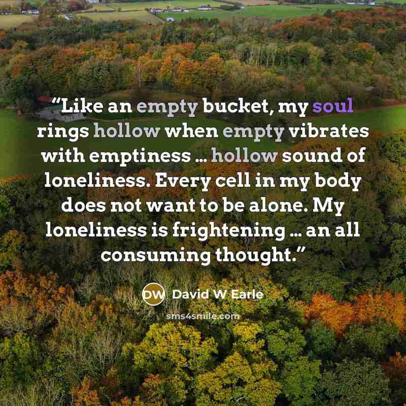 “Like an empty bucket, my soul rings hollow when empty vibrates with emptiness … hollow sound of loneliness. Every cell in my body does not want to be alone. My loneliness is frightening … an all consuming thought.” quote by David W Earle