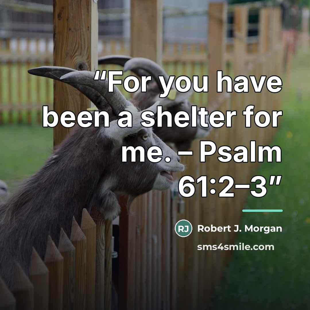 “For you have been a shelter for me. – Psalm 61:2–3” quote by Robert J. Morgan