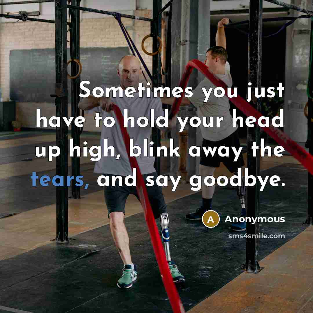 “Sometimes you just have to hold your head up high, blink away the tears, and say goodbye.” quote by Anonymous