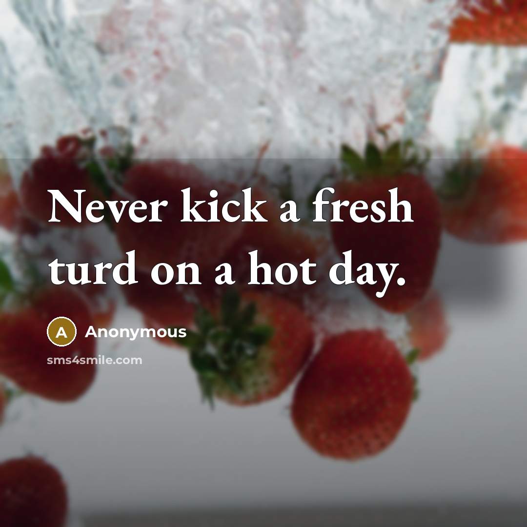 “Never kick a fresh turd on a hot day.” quote by Anonymous