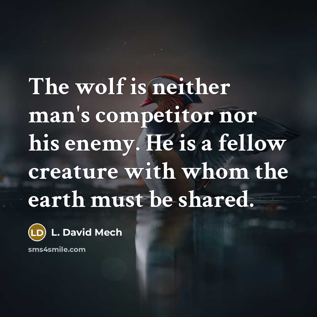“The wolf is neither man's competitor nor his enemy. He is a fellow creature with whom the earth must be shared.” quote by L. David Mech