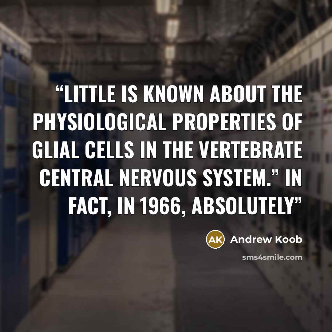 “Little is known about the physiological properties of glial cells in the vertebrate central nervous system.” In fact, in 1966, absolutely” quote by Andrew Koob