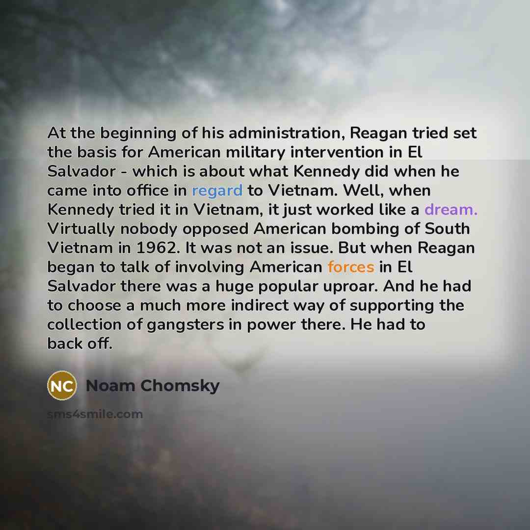 “At the beginning of his administration, Reagan tried set the basis for American military intervention in El Salvador - which is about what Kennedy did when he came into office in regard to Vietnam. Well, when Kennedy tried it in Vietnam, it just worked like a dream. Virtually nobody opposed…” quote by Noam Chomsky