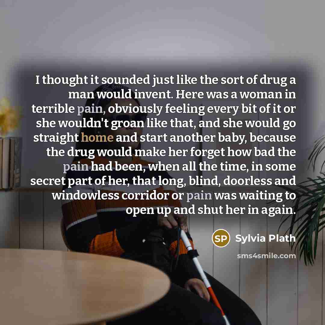 “I thought it sounded just like the sort of drug a man would invent. Here was a woman in terrible pain, obviously feeling every bit of it or she wouldn't groan like that, and she would go straight home and start another baby, because the drug would make her forget how bad the pain had been, when…” quote by Sylvia Plath