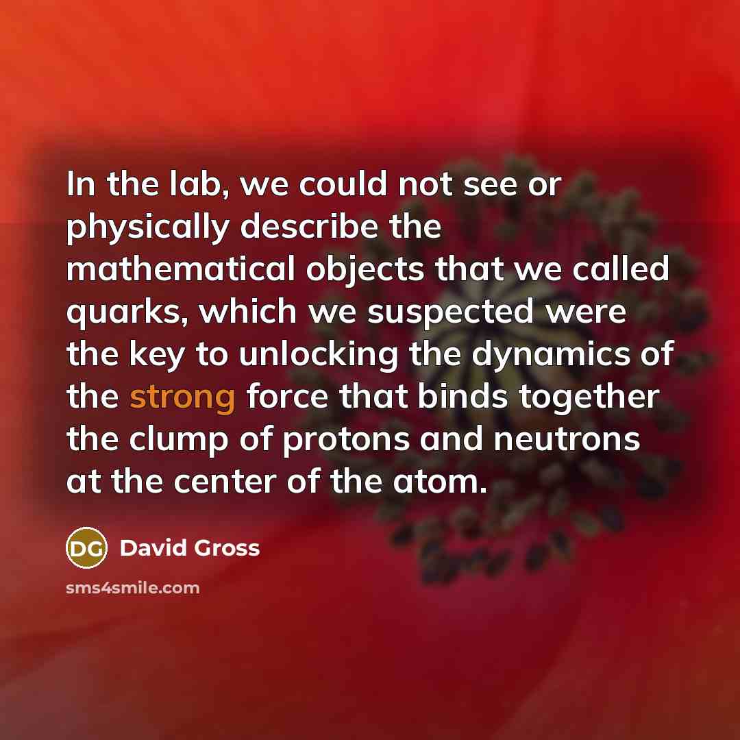 “In the lab, we could not see or physically describe the mathematical objects that we called quarks, which we suspected were the key to unlocking the dynamics of the strong force that binds together the clump of protons and neutrons at the center of the atom.” quote by David Gross