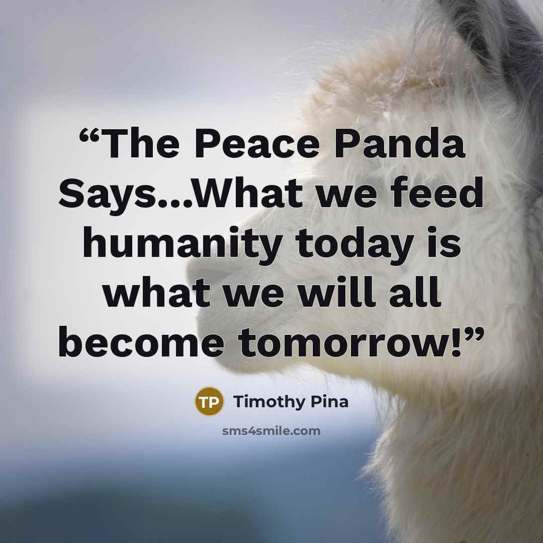 “The Peace Panda Says...What we feed humanity today is what we will all become tomorrow!” quote by Timothy Pina