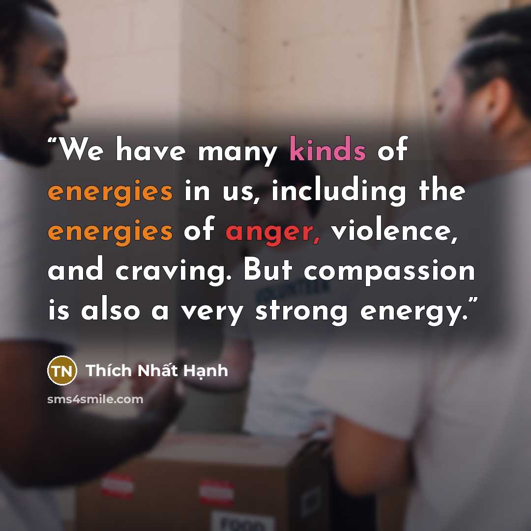 “We have many kinds of energies in us, including the energies of anger, violence, and craving. But compassion is also a very strong energy.” quote by Thích Nhất Hạnh