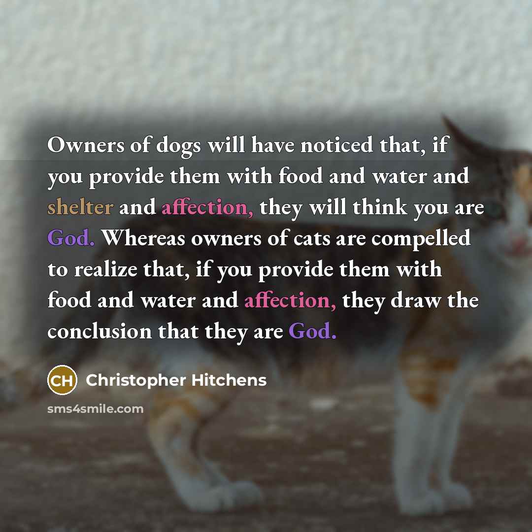 “Owners of dogs will have noticed that, if you provide them with food and water and shelter and affection, they will think you are God. Whereas owners of cats are compelled to realize that, if you provide them with food and water and affection, they draw the conclusion that they are God.” quote by Christopher Hitchens