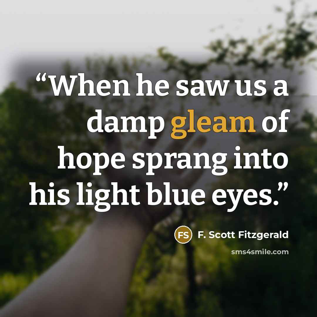 “When he saw us a damp gleam of hope sprang into his light blue eyes.” quote by F. Scott Fitzgerald