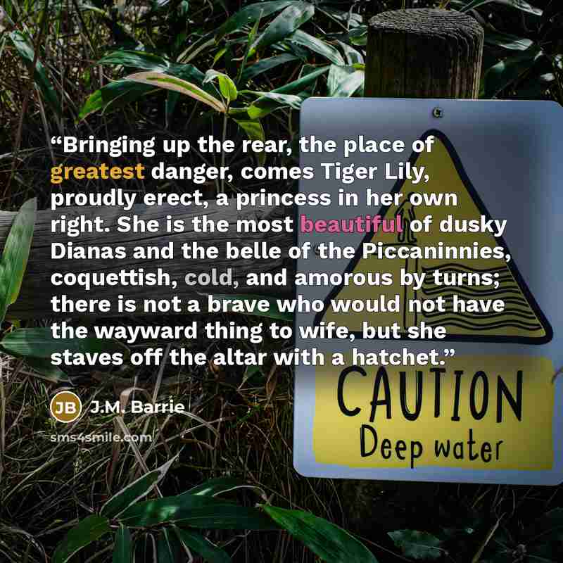 “Bringing up the rear, the place of greatest danger, comes Tiger Lily, proudly erect, a princess in her own right. She is the most beautiful of dusky Dianas and the belle of the Piccaninnies, coquettish, cold, and amorous by turns; there is not a brave who would not have the wayward thing to wife…” quote by J.M. Barrie