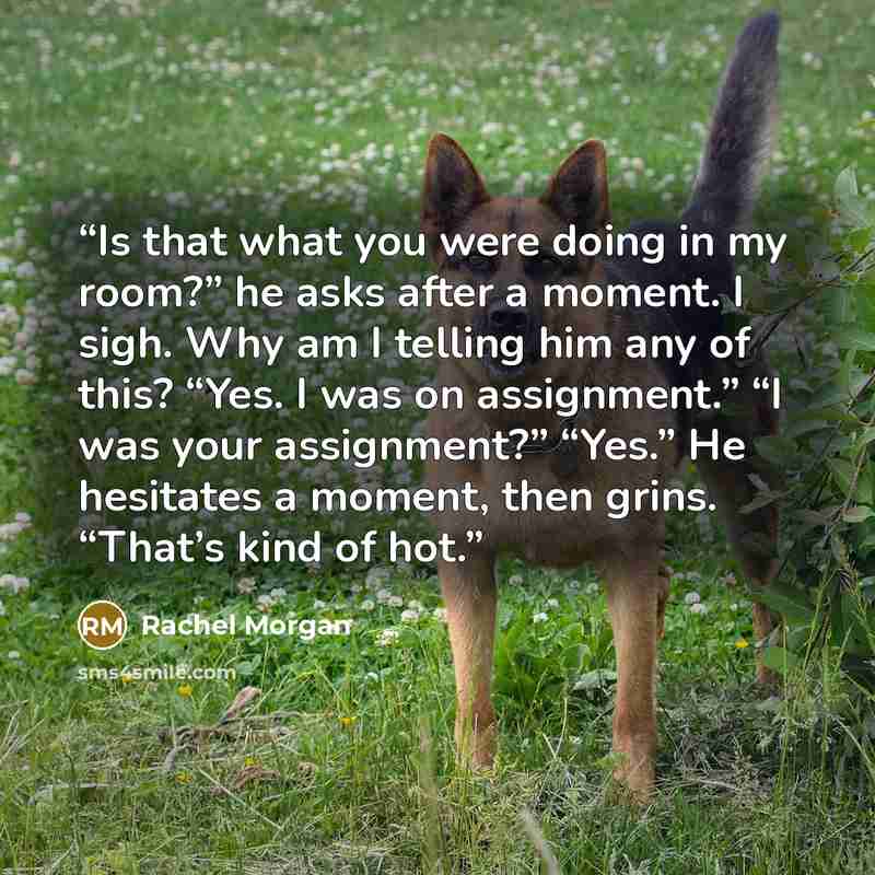 “Is that what you were doing in my room?” he asks after a moment. I sigh. Why am I telling him any of this? “Yes. I was on assignment.” “I was your assignment?” “Yes.” He hesitates a moment, then grins. “That’s kind of hot.” quote by Rachel Morgan