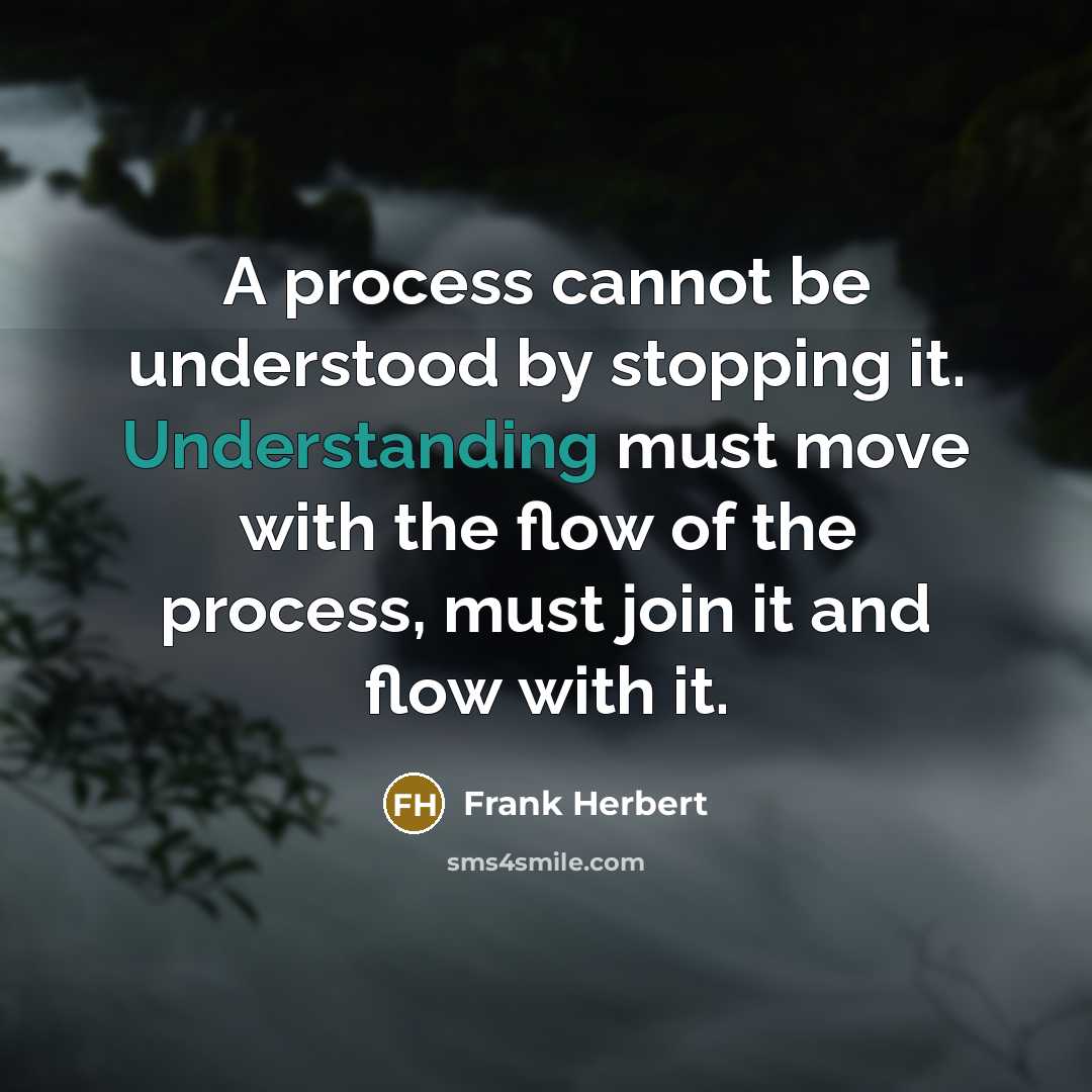 “A process cannot be understood by stopping it. Understanding must move with the flow of the process, must join it and flow with it.” quote by Frank Herbert