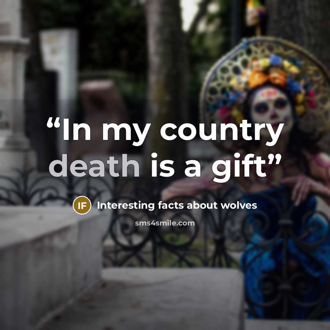 “In my country death is a gift” quote by Interesting facts about wolves