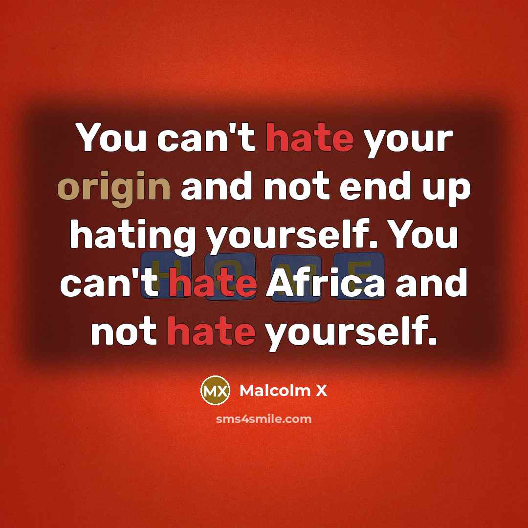 “You can't hate your origin and not end up hating yourself. You can't hate Africa and not hate yourself.” quote by Malcolm X
