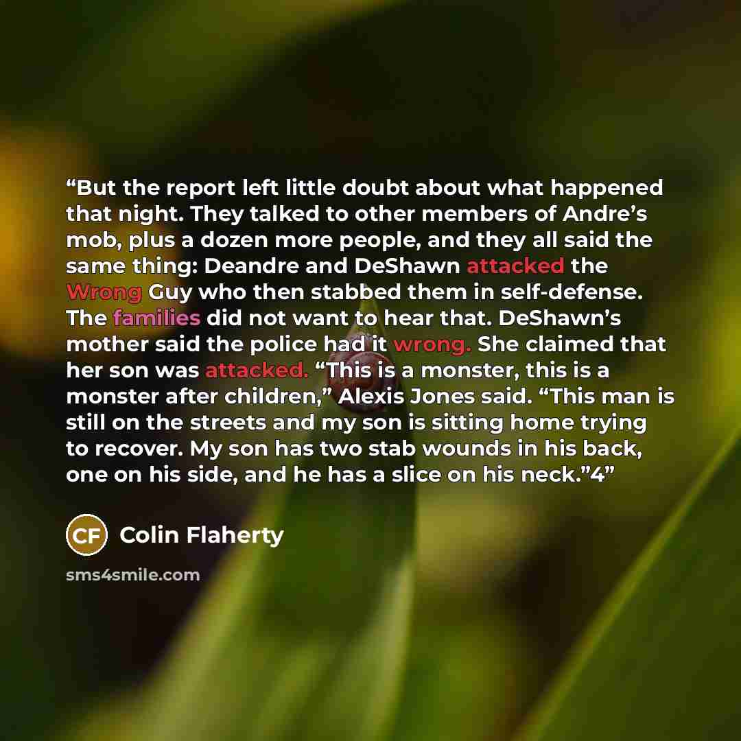 “But the report left little doubt about what happened that night. They talked to other members of Andre’s mob, plus a dozen more people, and they all said the same thing: Deandre and DeShawn attacked the Wrong Guy who then stabbed them in self-defense. The families did not want to hear that…” quote by Colin Flaherty