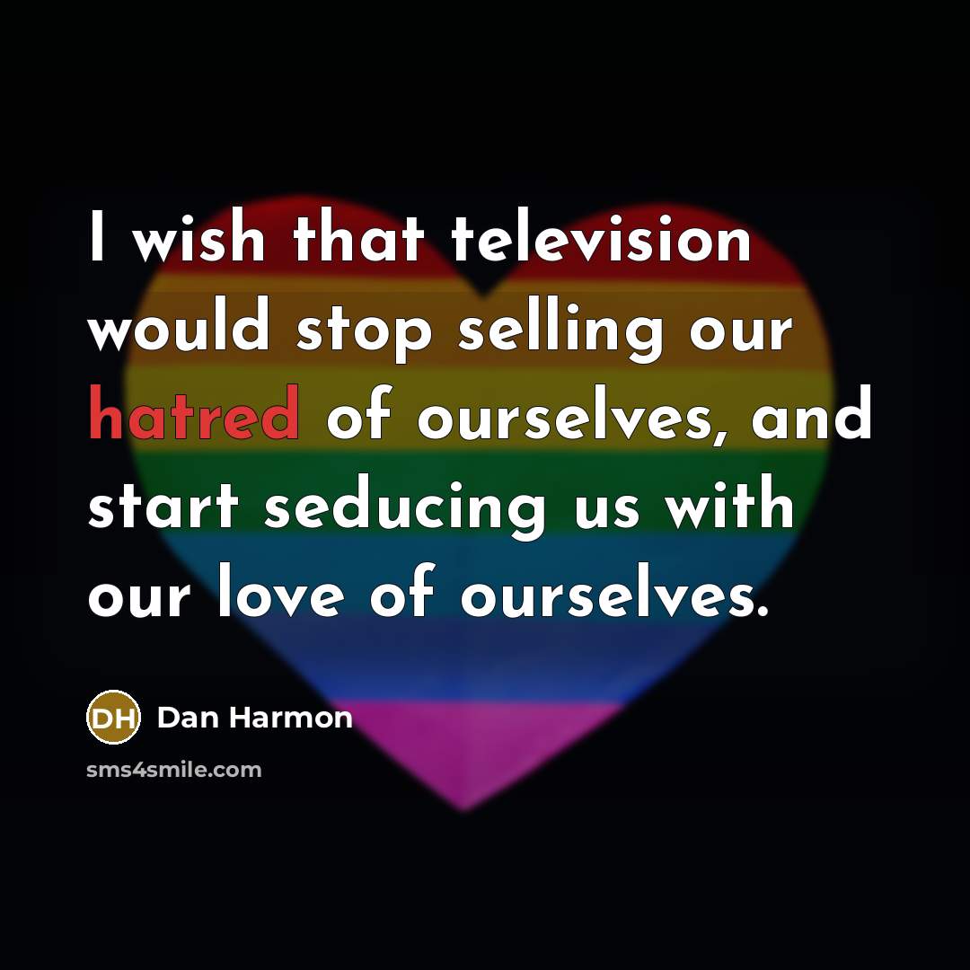 “I wish that television would stop selling our hatred of ourselves, and start seducing us with our love of ourselves.” quote by Dan Harmon