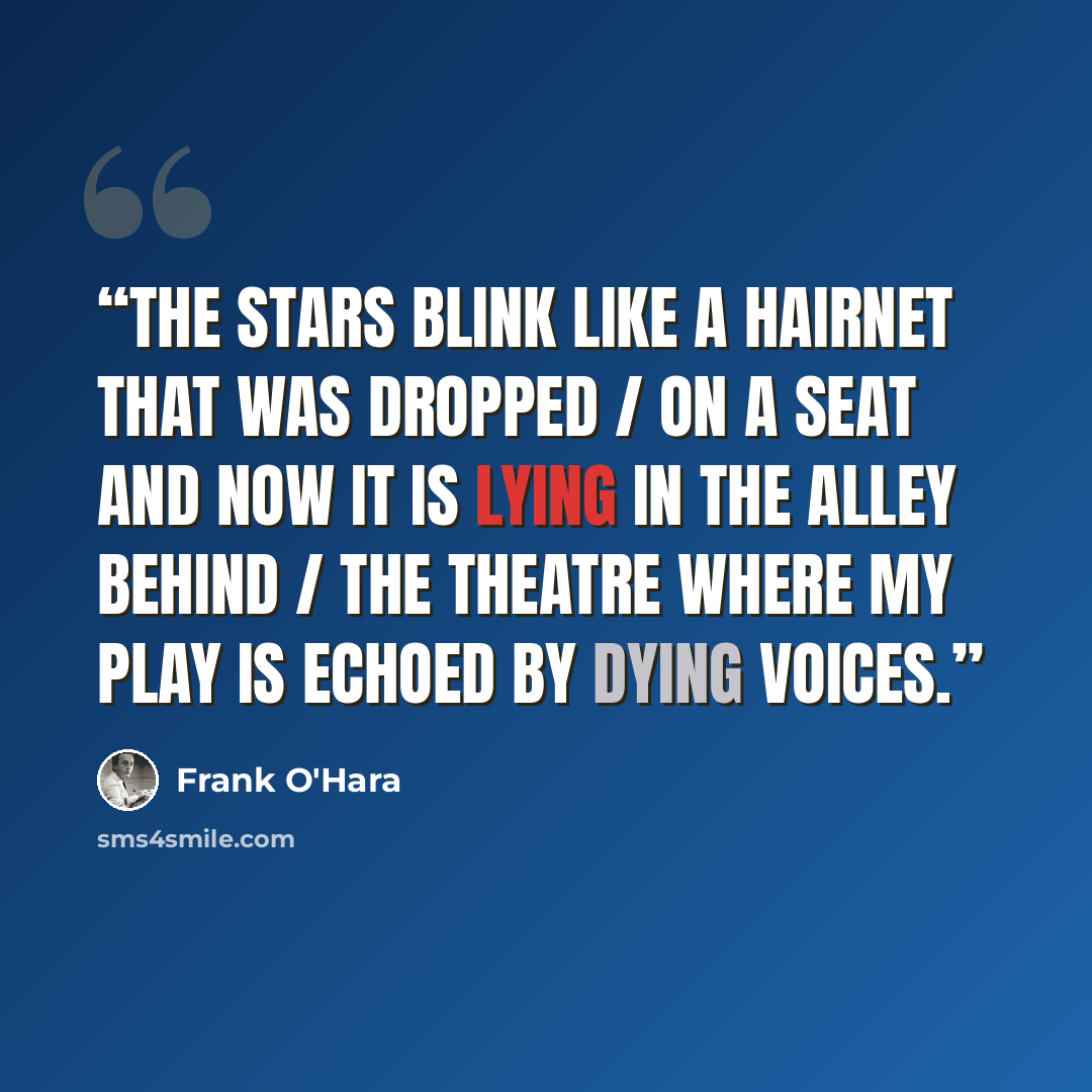 “The stars blink like a hairnet that was dropped / on a seat and now it is lying in the alley behind / the theatre where my play is echoed by dying voices.” quote by Frank O'Hara