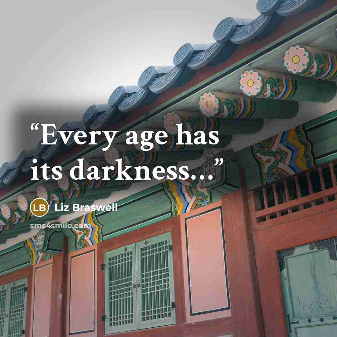“Every age has its darkness…” quote by Liz Braswell