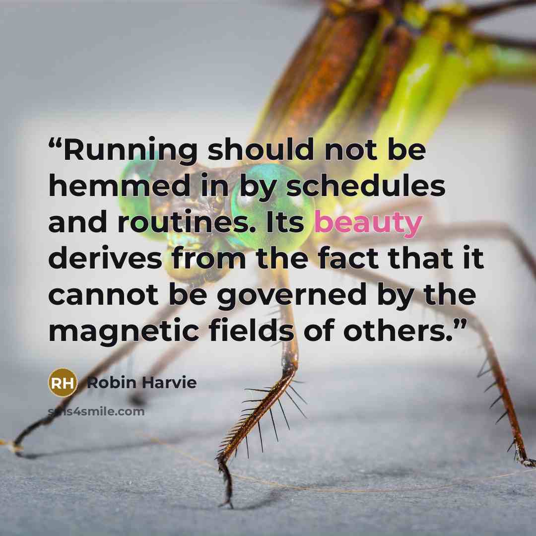 “Running should not be hemmed in by schedules and routines. Its beauty derives from the fact that it cannot be governed by the magnetic fields of others.” quote by Robin Harvie