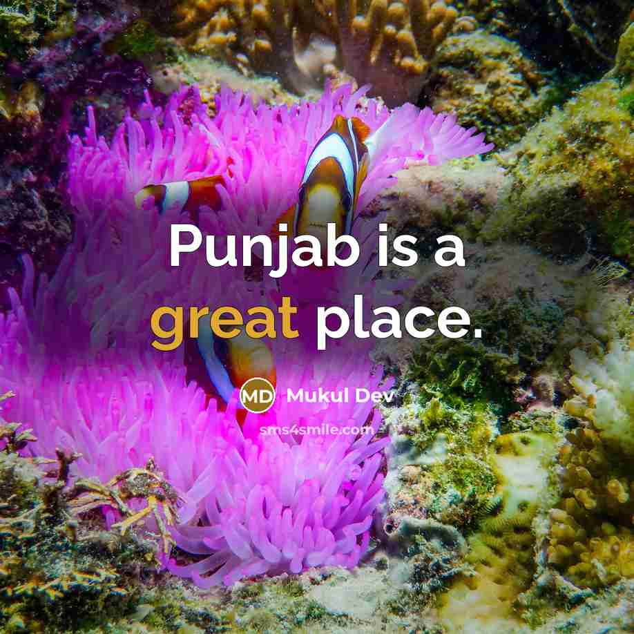 “Punjab is a great place.” quote by Mukul Dev