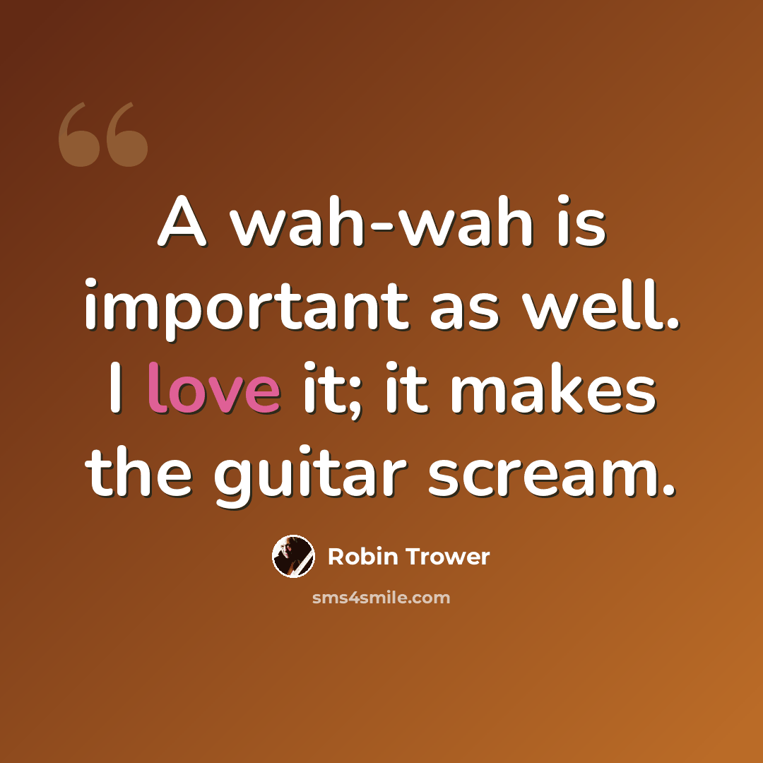 “A wah-wah is important as well. I love it; it makes the guitar scream.” quote by Robin Trower