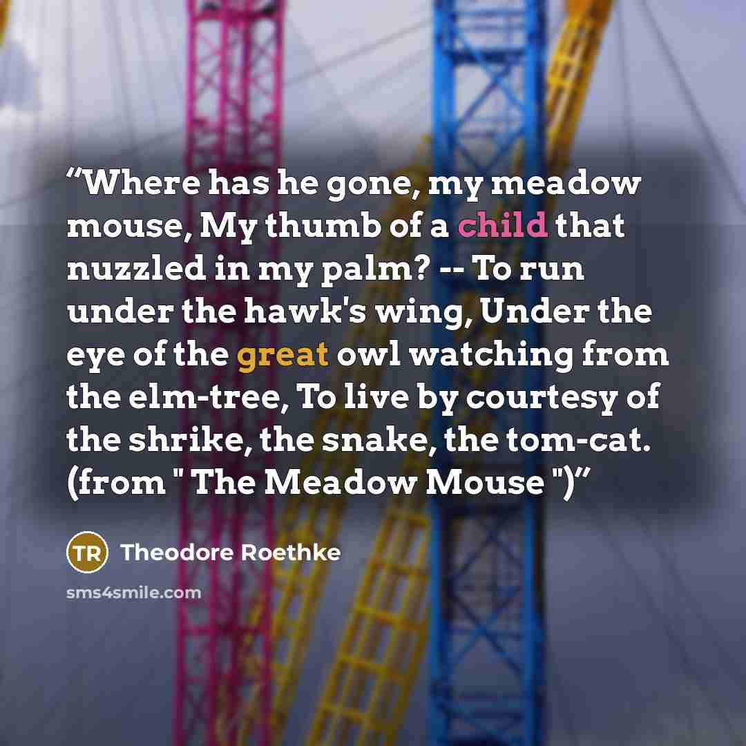 “Where has he gone, my meadow mouse, My thumb of a child that nuzzled in my palm? -- To run under the hawk's wing, Under the eye of the great owl watching from the elm-tree, To live by courtesy of the shrike, the snake, the tom-cat. (from " The Meadow Mouse ")” quote by Theodore Roethke