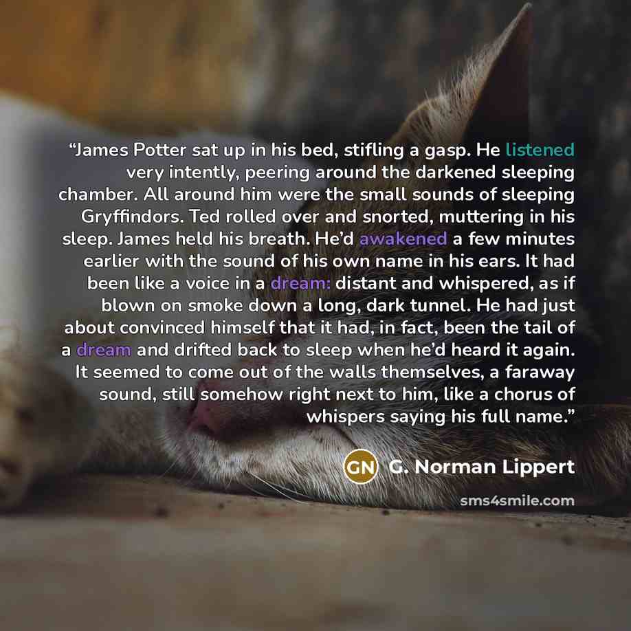 “James Potter sat up in his bed, stifling a gasp. He listened very intently, peering around the darkened sleeping chamber. All around him were the small sounds of sleeping Gryffindors. Ted rolled over and snorted, muttering in his sleep. James held his breath. He’d awakened a few minutes earlier…” quote by G. Norman Lippert