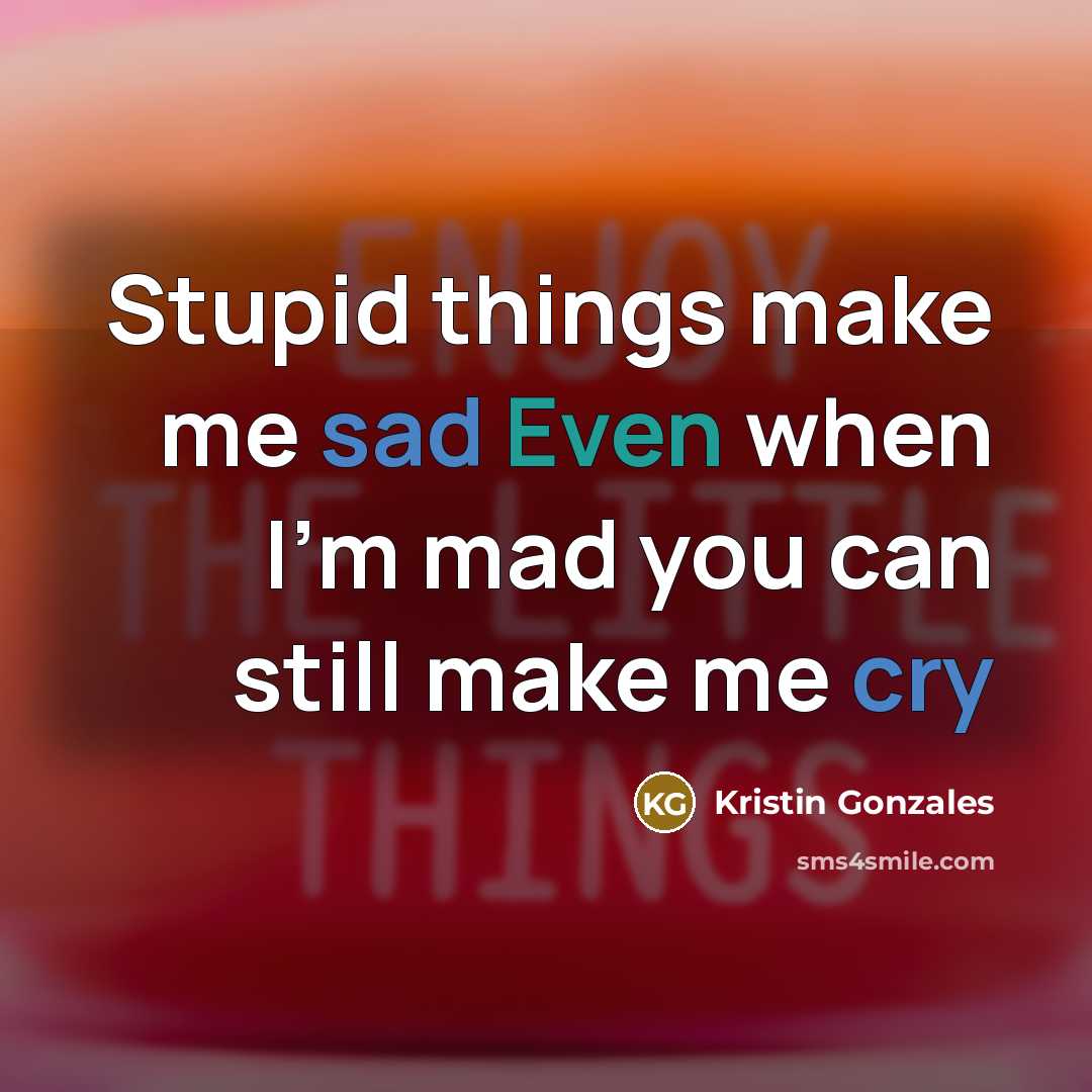 “Stupid things make me sad Even when I'm mad you can still make me cry” quote by Kristin Gonzales