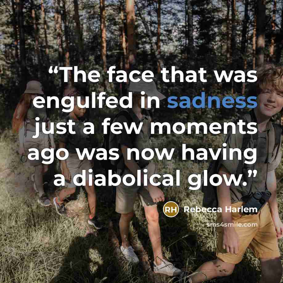 “The face that was engulfed in sadness just a few moments ago was now having a diabolical glow.” quote by Rebecca Harlem