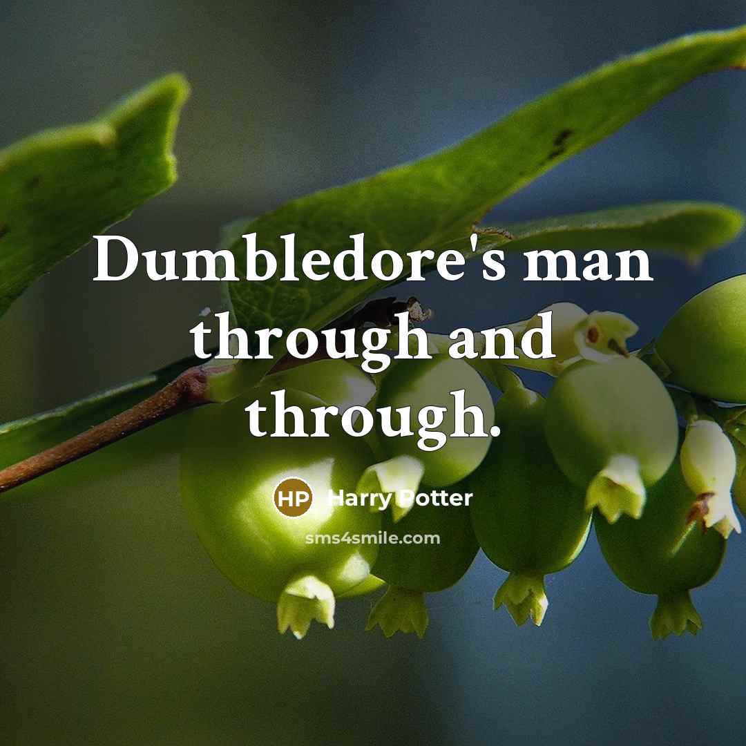“Dumbledore's man through and through.” quote by Anonymous