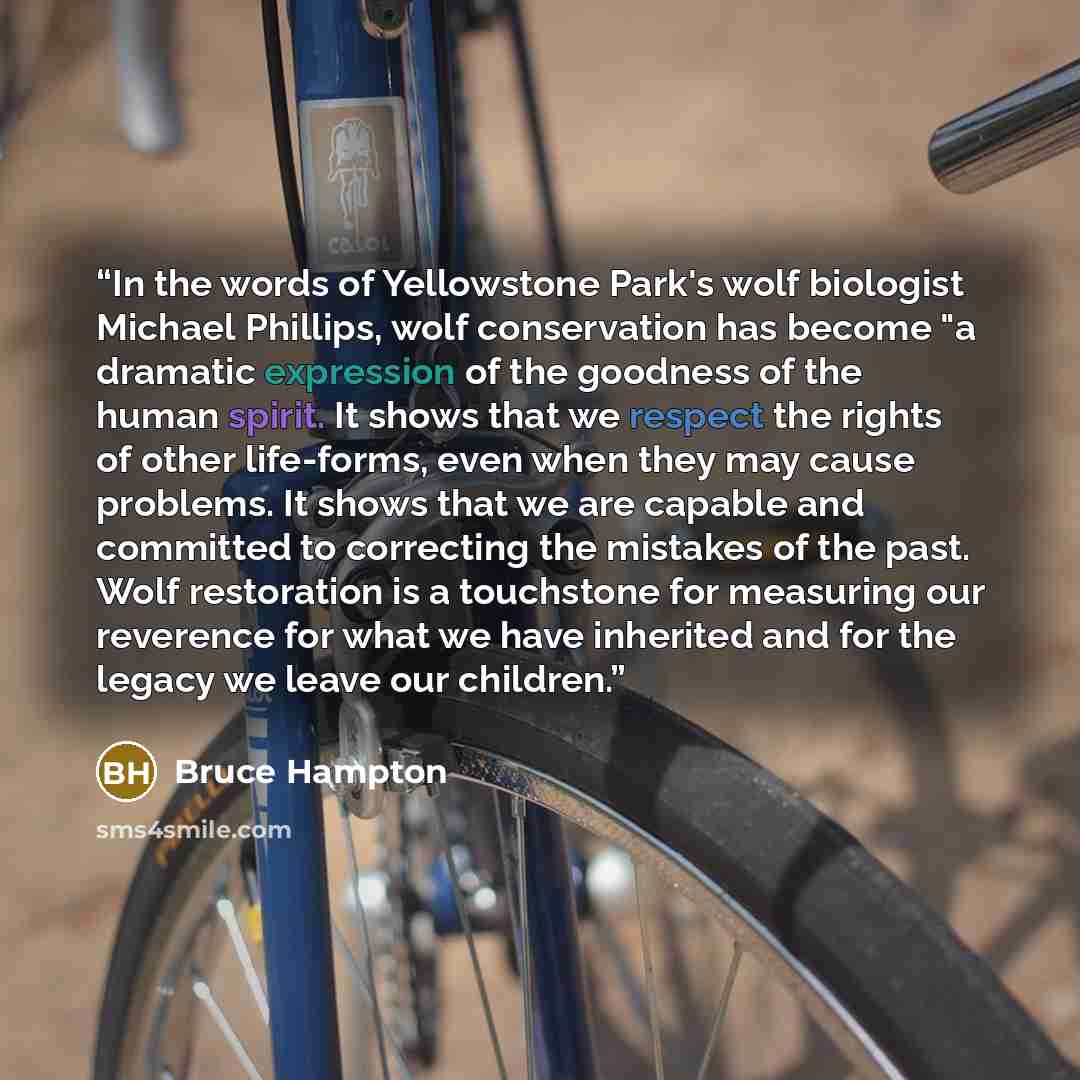 “In the words of Yellowstone Park's wolf biologist Michael Phillips, wolf conservation has become "a dramatic expression of the goodness of the human spirit. It shows that we respect the rights of other life-forms, even when they may cause problems. It shows that we are capable and committed to…” quote by Bruce Hampton