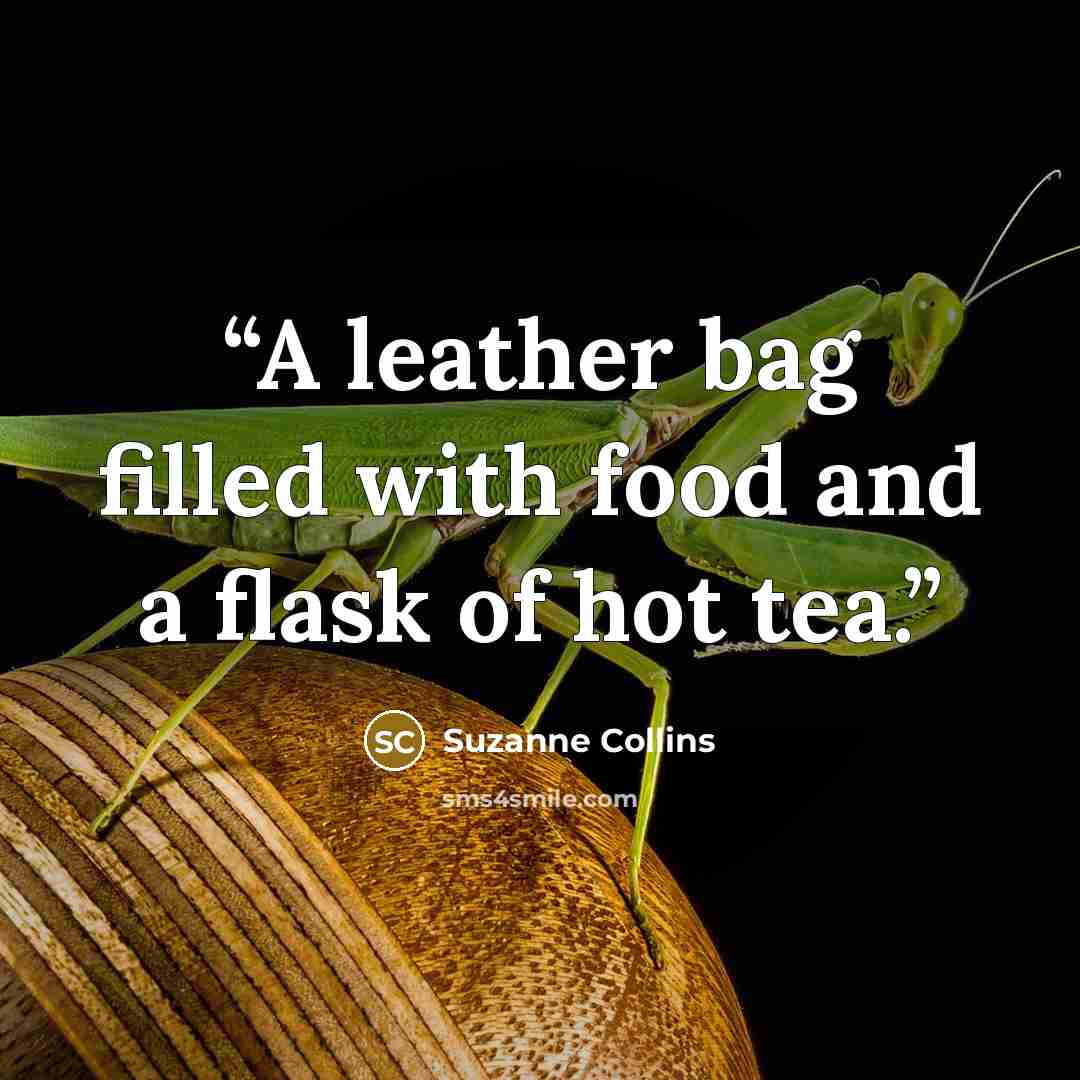 “A leather bag filled with food and a flask of hot tea.” quote by Suzanne Collins