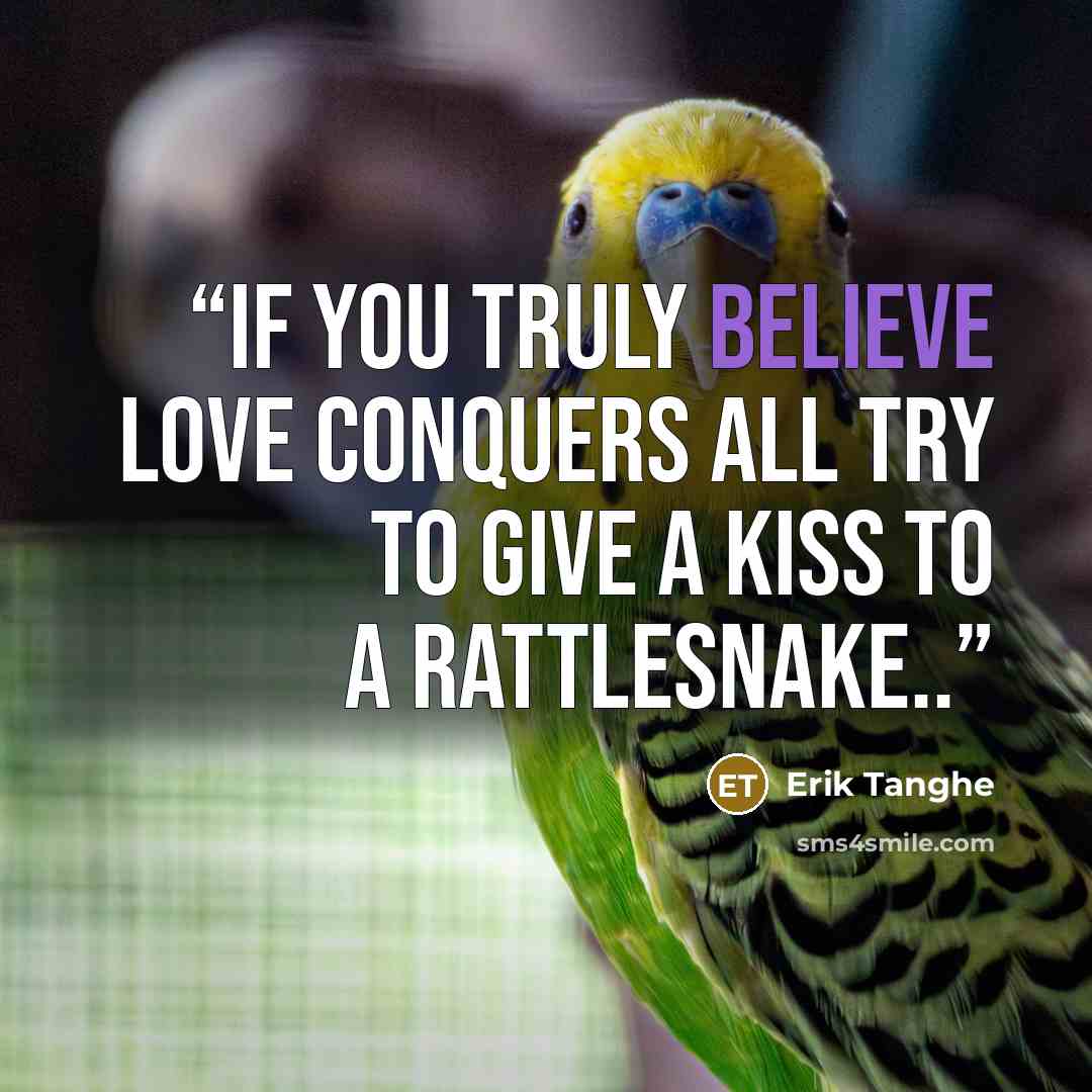 “If you truly believe love conquers all try to give a kiss to a rattlesnake..” quote by Erik Tanghe