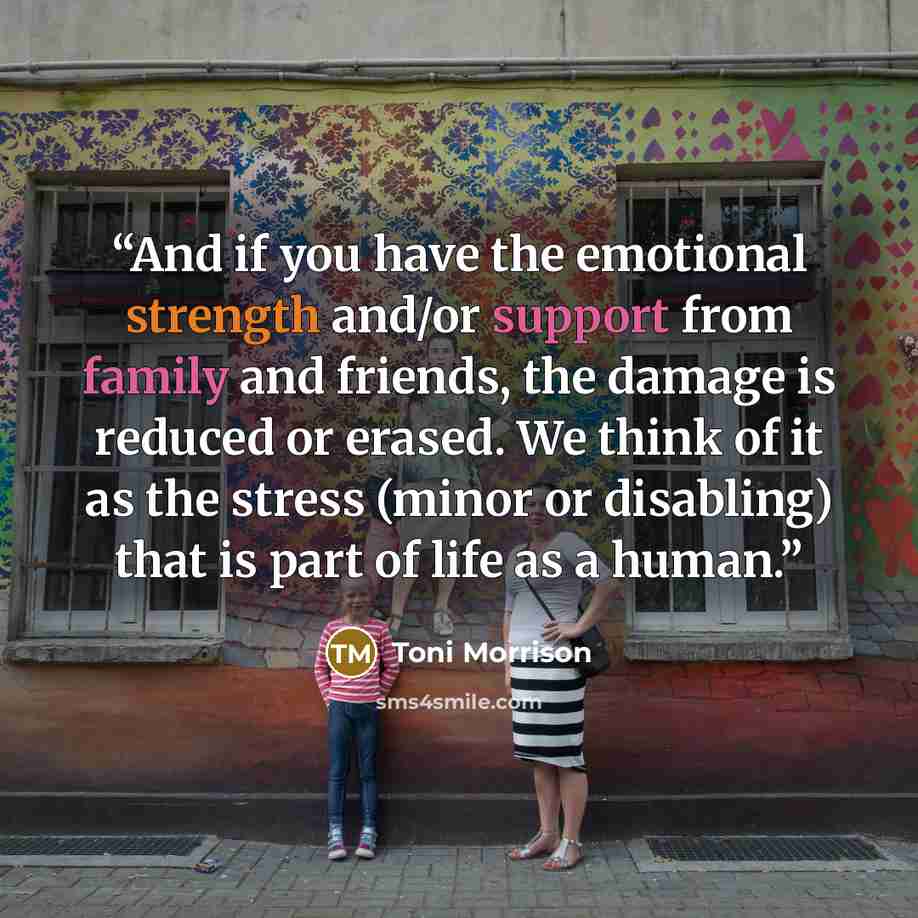“And if you have the emotional strength and/or support from family and friends, the damage is reduced or erased. We think of it as the stress (minor or disabling) that is part of life as a human.” quote by Toni Morrison