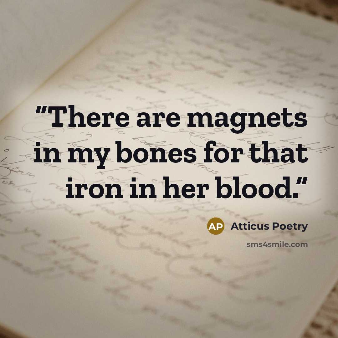 “There are magnets in my bones for that iron in her blood.” quote by Atticus Poetry