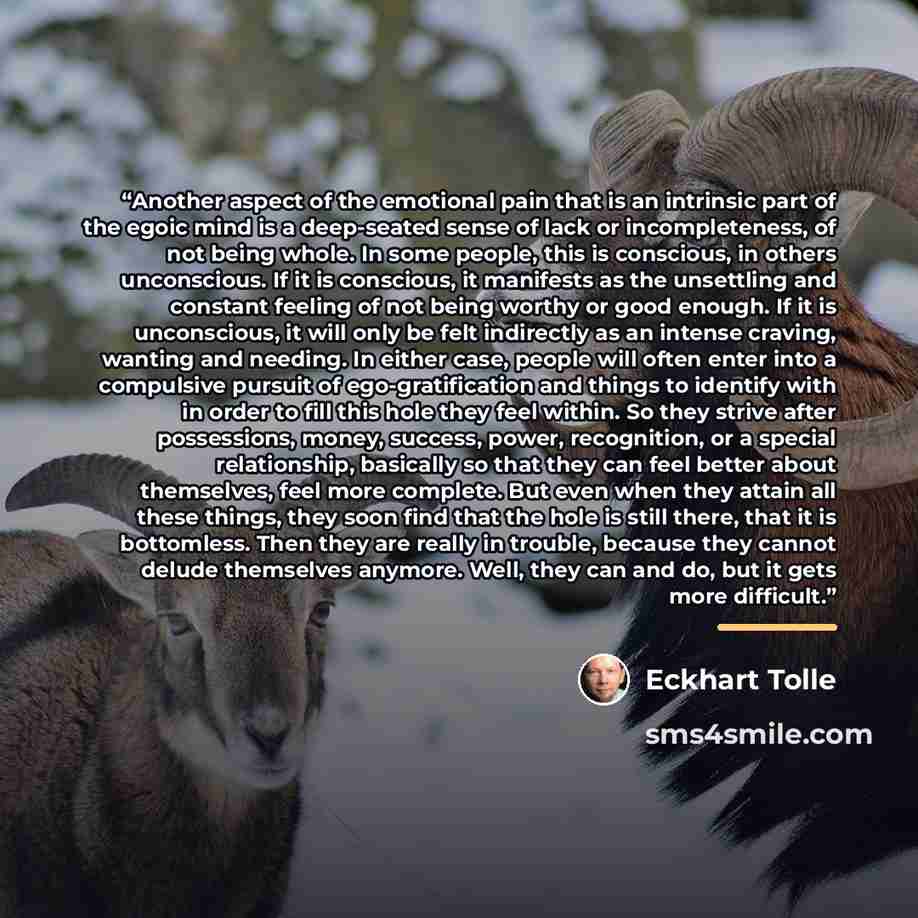 “Another aspect of the emotional pain that is an intrinsic part of the egoic mind is a deep-seated sense of lack or incompleteness, of not being whole. In some people, this is conscious, in others unconscious. If it is conscious, it manifests as the unsettling and constant feeling of not being…” quote by Eckhart Tolle