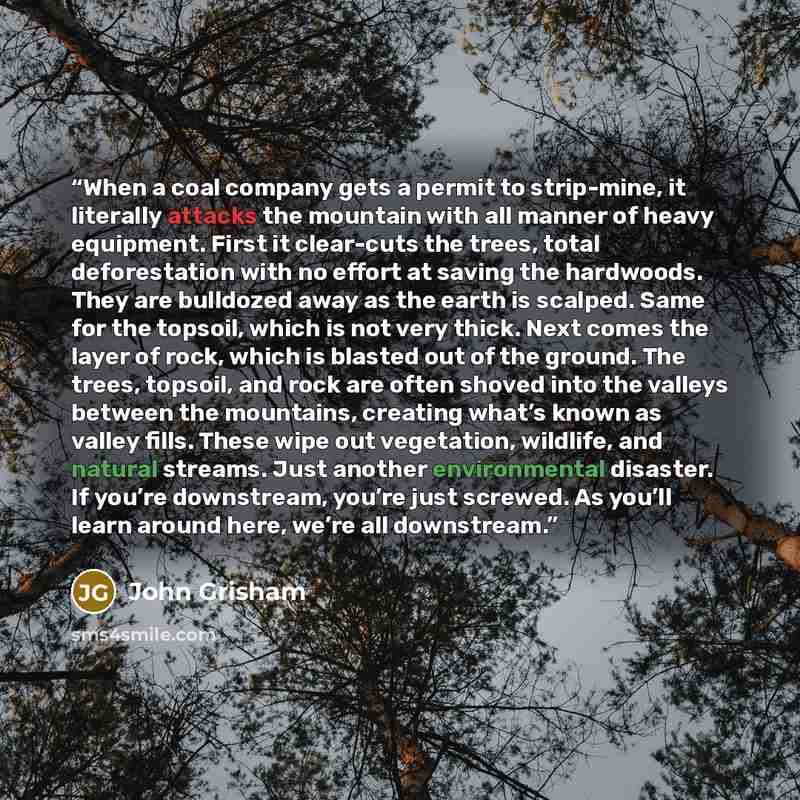“When a coal company gets a permit to strip-mine, it literally attacks the mountain with all manner of heavy equipment. First it clear-cuts the trees, total deforestation with no effort at saving the hardwoods. They are bulldozed away as the earth is scalped. Same for the topsoil, which is not very…” quote by John Grisham