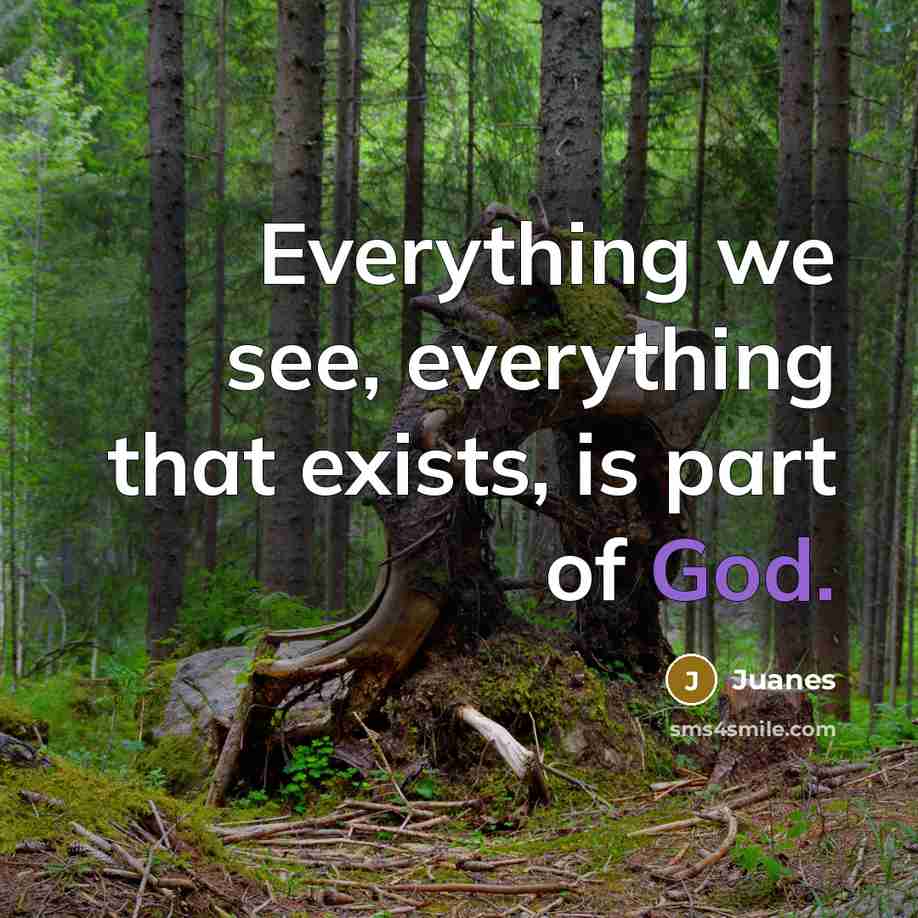 “Everything we see, everything that exists, is part of God.” quote by Juanes