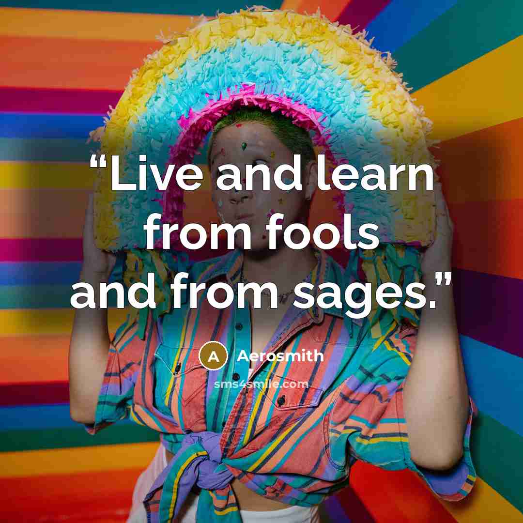 “Live and learn from fools and from sages.” quote by Aerosmith